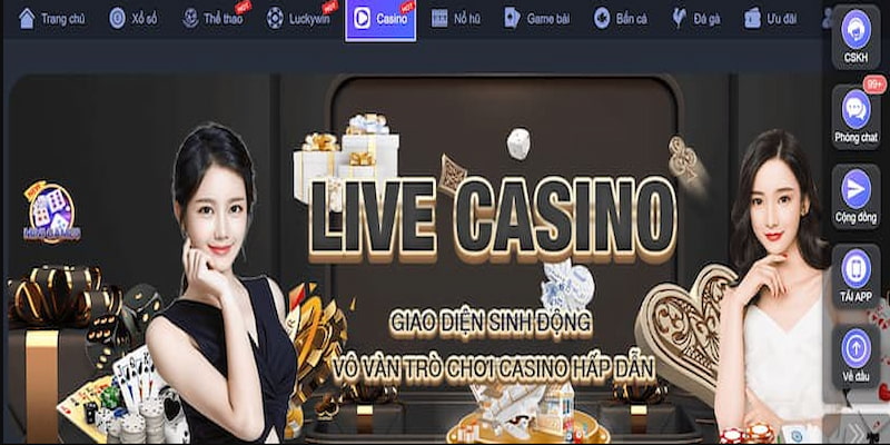 Live Casino cực sanh chín tại đại sảnh nhà cái 8kbet