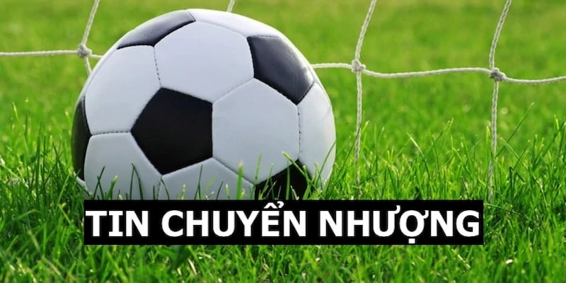 thumb avt tin chuyển nhượng 8kbet